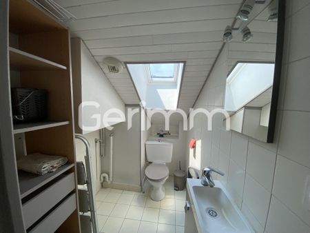 Location Appartement 2 pièces 23m² GRENOBLE 38000 - Photo 3