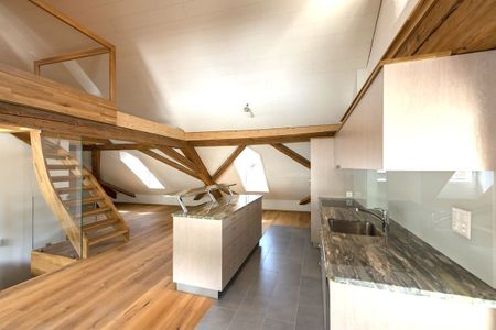 Grosse, moderne Dachwohnung mit direktem Liftzugang - Photo 3