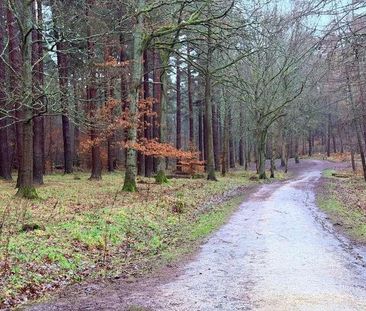 Tweed Street, Chopwell, Newcastle Upon Tyne, NE17 - Photo 6