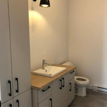 Logement 5 1/2 disponible maintenant - Photo 4