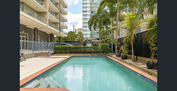 Fantastic Inner City Living! BRAND NEW CARPET AND PAINT - Photo 1