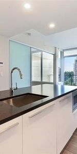 Spacious 1 Bed 1 Bath Condo HighRise in Metrotown Gold House - Photo 4