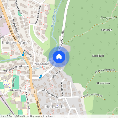 Maugwilerstrasse 20a, 9552 Bronschhofen, Lageplan