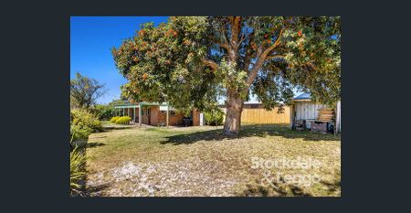 A Relaxed Lifestyle - Photo 4