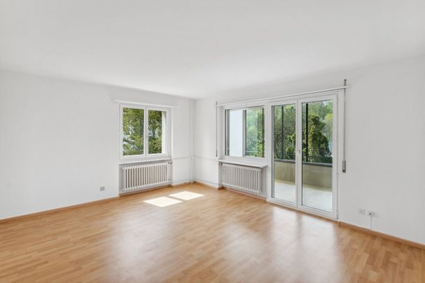 Beautiful apartment in Olten - Photo 1