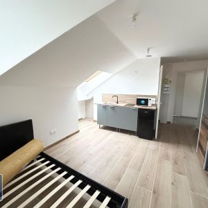 Location Appartement 1 pièce 14m² FAMARS 59300 - Photo 2