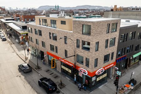 Condo for rent, Montréal (Rosemont/La Petite-Patrie) - Photo 3