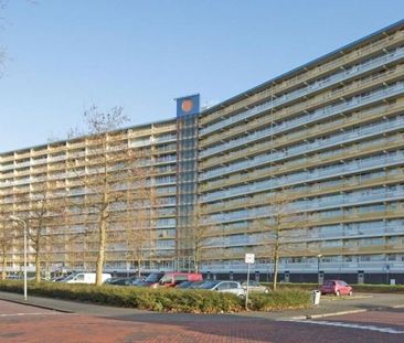 Pharus 0ong, 1503 EC Zaandam, Nederland - Foto 2