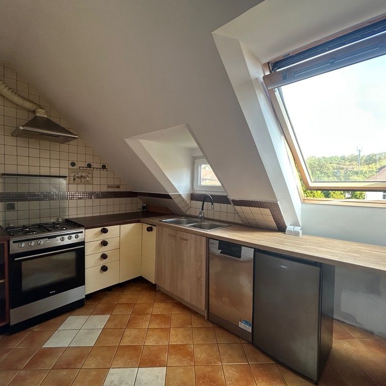 (Symbol 436516) MIESZKANIE na WYNAJEMSzczecin, Jasne Błonia Do wynajęcia jako mieszkanie lub jako lokal - Photo 1