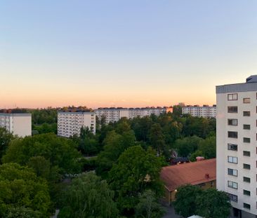 Ålgrytevägen 99 - Foto 5