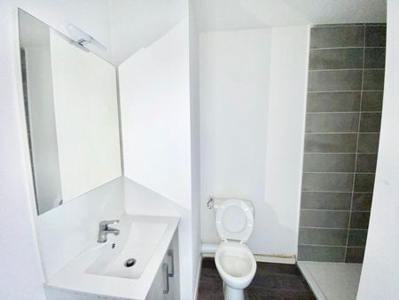 Location Appartement 1 pièce 19m² AUZEVILLE TOLOSANE 31320 - Photo 3