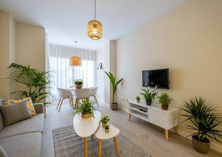 Calle la Regente - Photo 4