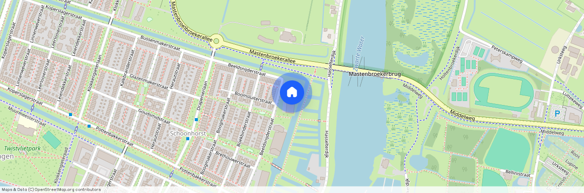 Beeldsnijderstraat 71, 8043CR Zwolle