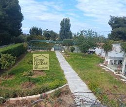 Μονοκατοικία για ενοικίαση - Ανάβυσσος, - Photo 6