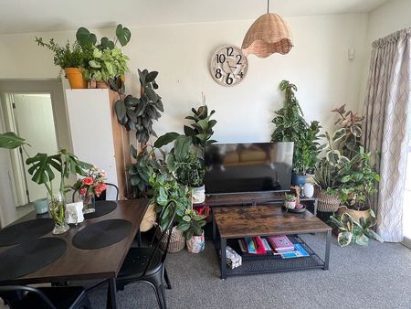 Post quake built apartment with double glazing. - Photo 4