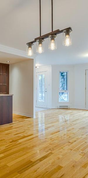 4 ½ à louer dans Hochelaga – Terrasse, stationnement & parc arrière - Photo 1
