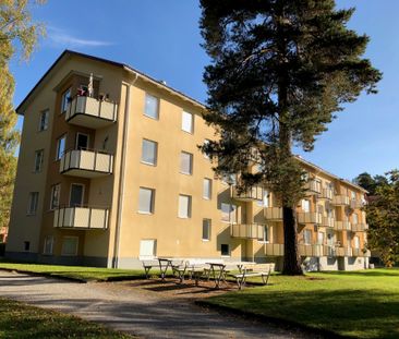 Violstigen, Västerås - Photo 2
