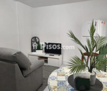 Piso en alquiler en Pumarín-Teatinos - Foto 2
