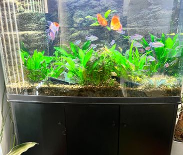 Maribyrnong - Photo 3