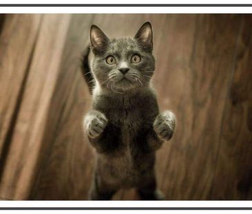 Starten Sie mit dieser schönen DG-Terrassenwohnung durch - Foto 1