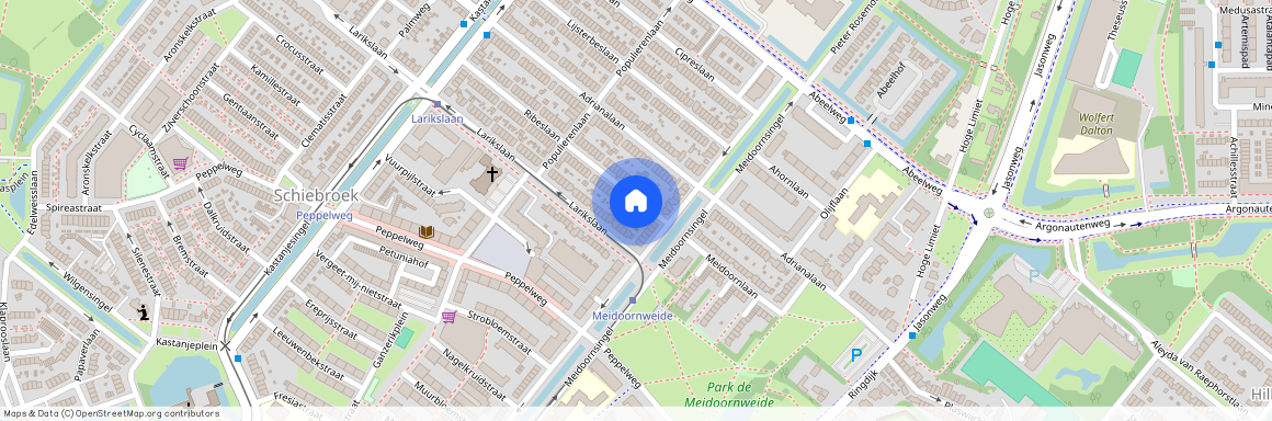 Ribeslaan 6, Schiebroek, 3053MN, Rotterdam