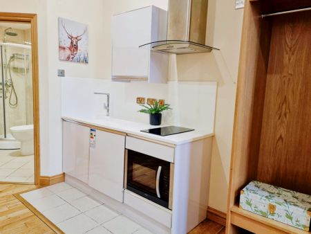 Deluxe Studio - Photo 4