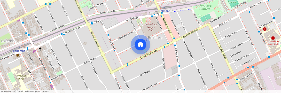 38 Collins Street, Belmore, NSW 2192