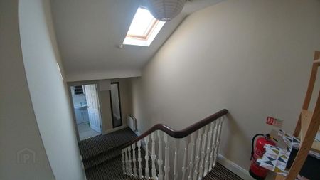 69 Fitzwilliam Street Apt 3, Belfast, BT9 6AX - Photo 3