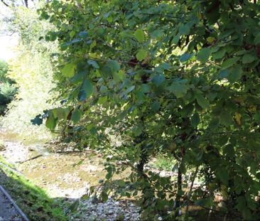 Appartement de 3 pièces - Photo 5