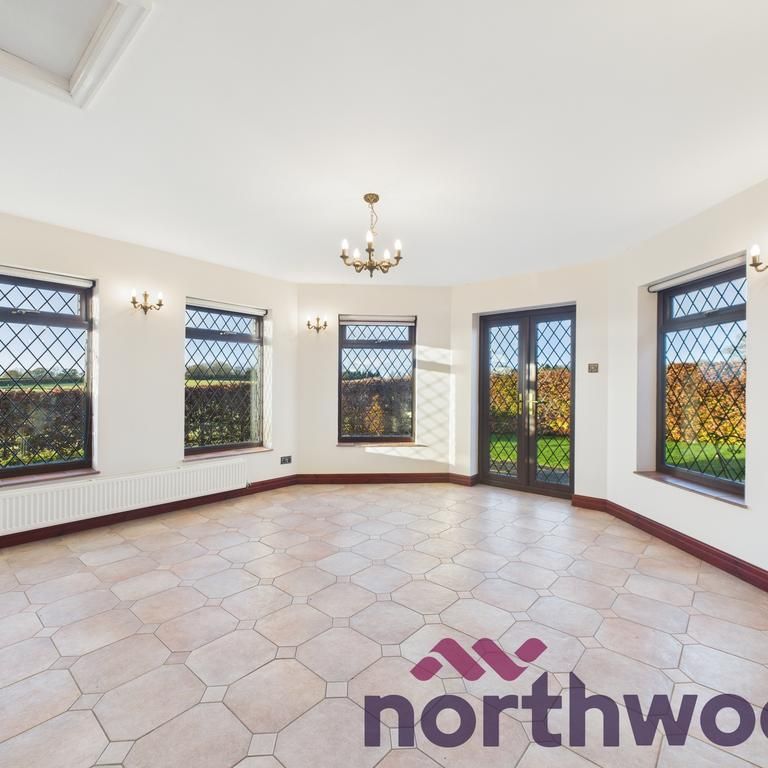 3 bedroom bungalow to rent - Photo 1