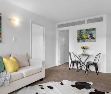 Cosy Home in heart of Mt Eden Village - Photo 3