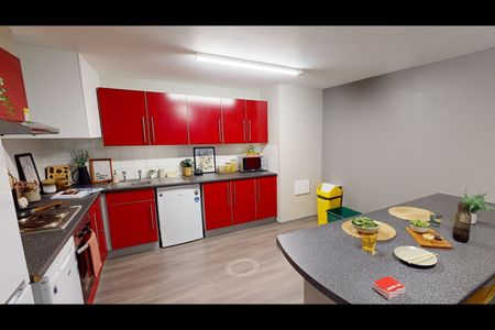 Room in a Shared Flat, Crow Lane, BS1 - Photo 4