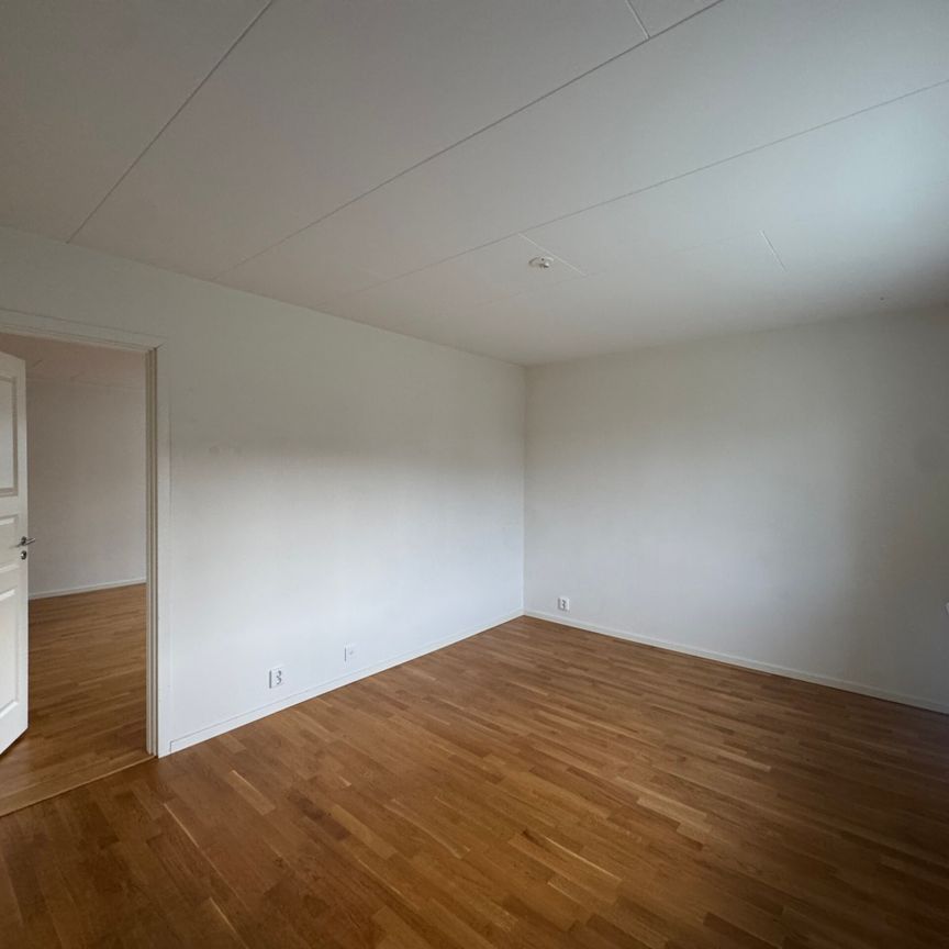 Frejagatan 8 – 2 rok (1002) - Photo 1