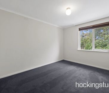 Ultra Convenient First Floor Apartment With Bonus Courtyard Space - Photo 3