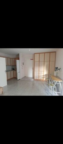 Studio/Γκαρσονιέρα για ενοικίαση Συνοικισμός - Άγιος Μελέτιος (Λιβαδειά) - Photo 4