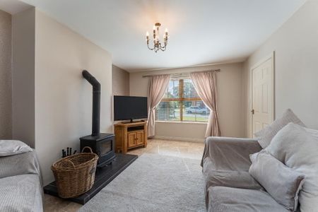 11 Old Mill Manor, Laurelvale, BT62 2LY - Photo 2