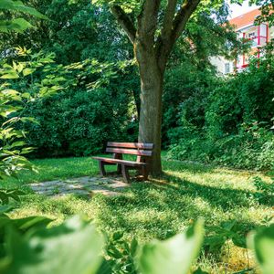 Eckersbacher Höhe 21 - Photo 3