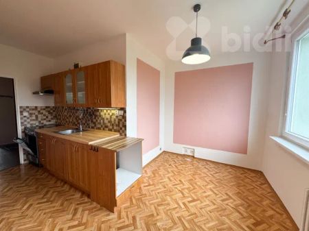 Nabízíme k pronájmu byt 2+1 s lodžií o výměře 59 m - Photo 5