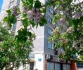 Warszawa, Śródmieście, Marszałkowska - Photo 2