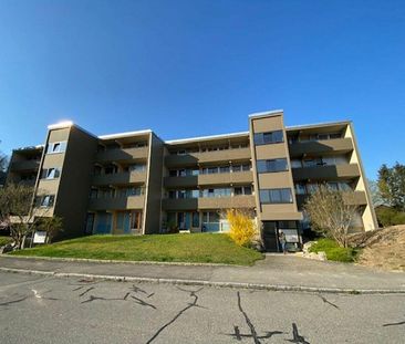 Schöne 4.5Zi Wohnung zu vermieten - Foto 3