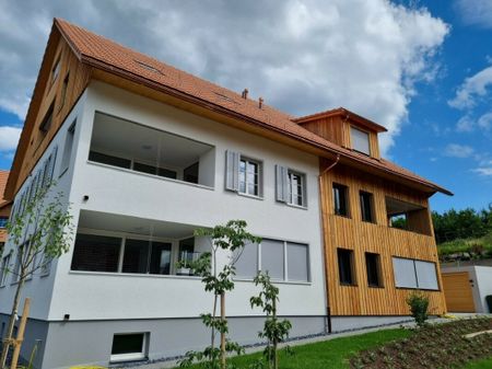 Wunderschöne Maisonette-Wohnung in Freudwil bei Uster - Foto 4