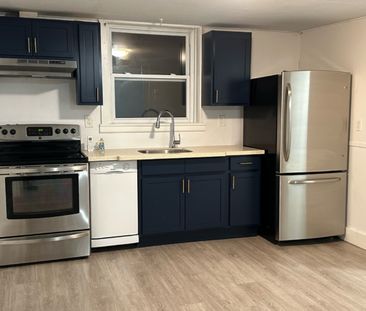 3688 Acadia Street – PET FRIENDLY NEWLY RENOVATED 2 BR LOWER UNIT A... - Photo 4