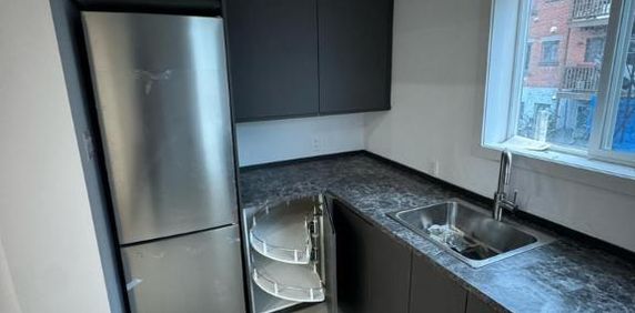 À LOUER – Grand 4½ entièrement rénové | 22e Avenue, Montréal - Photo 2