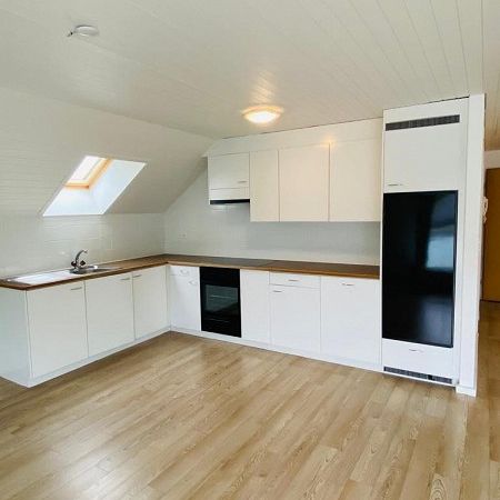 Nachmieter gesucht - Schöne grosse Dachwohnung zu vermieten! - Foto 1