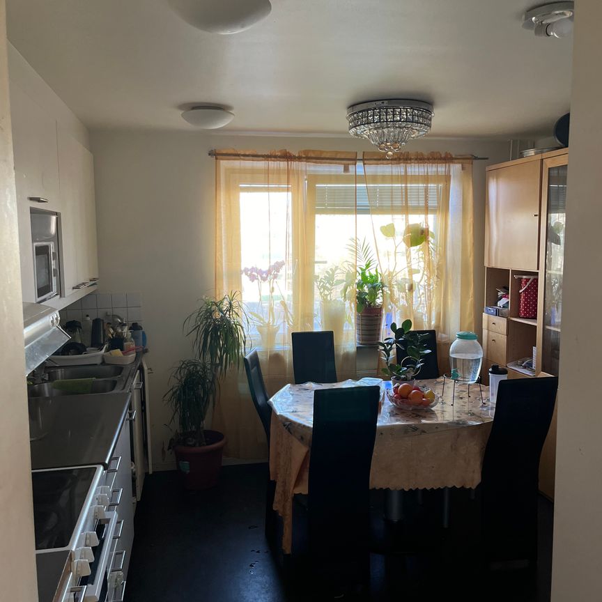 Trondheimsgatan, Kista - Photo 1