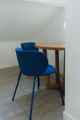 Lichtrijke, gerenoveerde, bemeubelde studio in cohousing — De Pintelaan 124, 9000 Gent - Photo 1