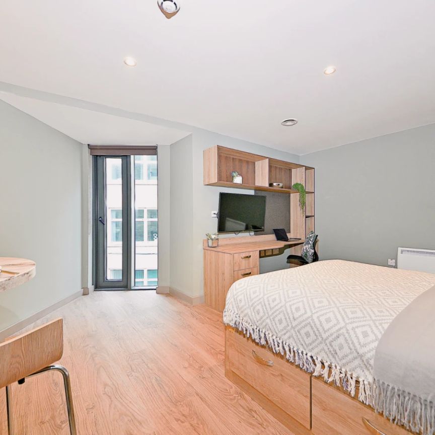 Luxury Studio - Photo 1