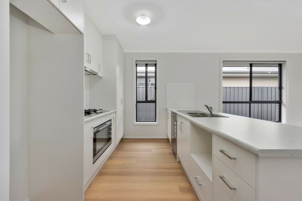 Modern Family Home in the Heart of Angle Vale - Photo 1