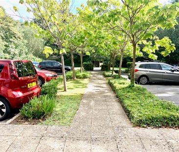 Rosida Gardens, So15 - Photo 6