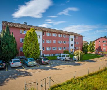 Rent a 3 rooms apartment in Kempten-Wetzikon - Photo 1